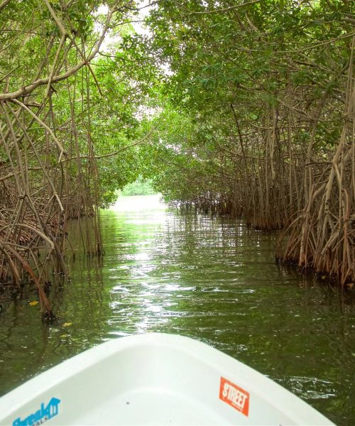 209723-Chacahua-Lagoon-National-Park