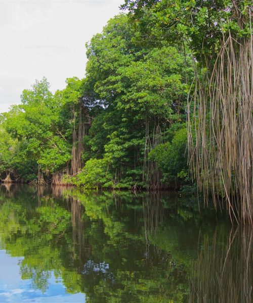 209734-Chacahua-Lagoon-National-Park