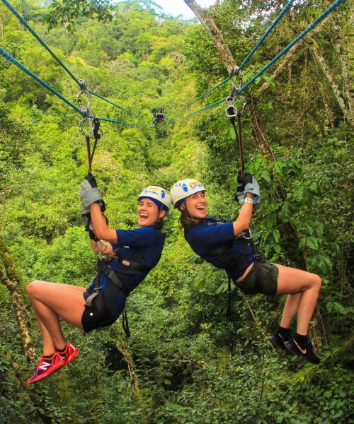 4e126d46ebff5f6c968579f2670584e6a4b2a611-1400x1000