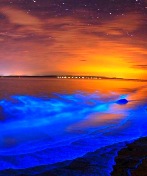 LJ2RVGVD6ZHDZONR6XCIAZM6ZA