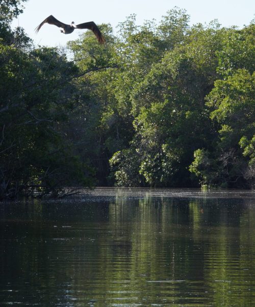 Laguna_de_Maniltepec