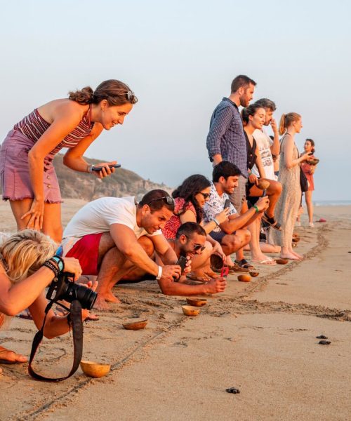 Liberar-tortugas-marinas