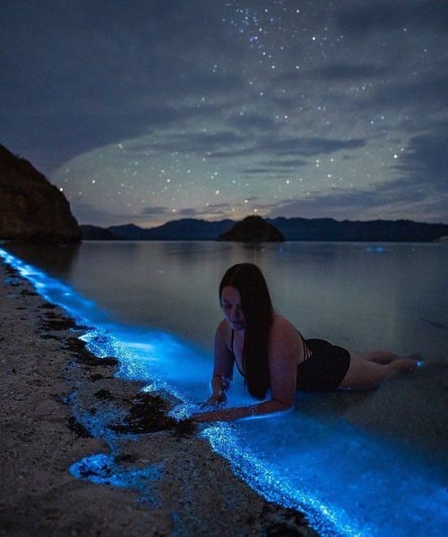 bcb6808637f73d63d380ccc5270f9768