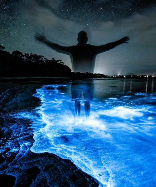 biolumuniscencia-lugares-scaled