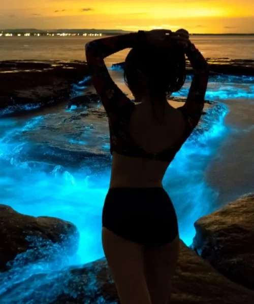 f1280x720-24784_156459_5050