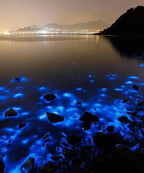 laguna-luminous-falmouth-jamaica-fuente-unplash