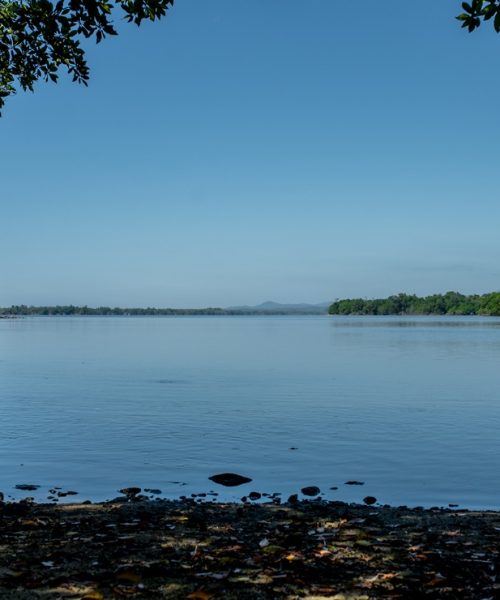 Laguna,De,Manialtepec,In,Oaxaca,,Place,Of,Bioluminescence