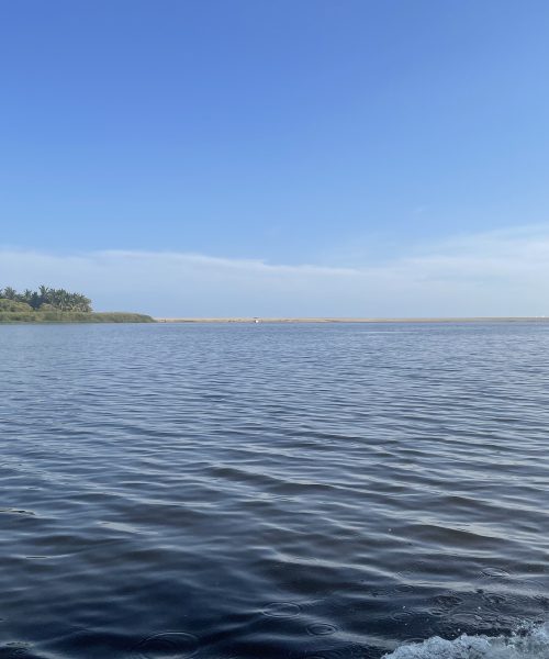 laguna_de_manialtepec_1